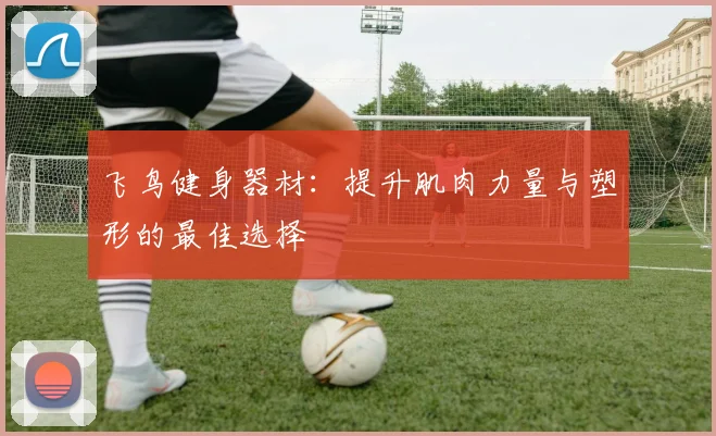 飞鸟健身器材：提升肌肉力量与塑形的最佳选择